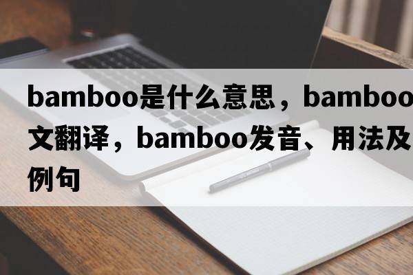 bamboo是什么意思，bamboo中文翻譯，bamboo發(fā)音、用法及例句