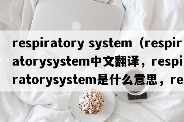 respiratory system（respiratorysystem中文翻譯，respiratorysystem是什么意思，respiratorysystem發(fā)音、用法及例句）