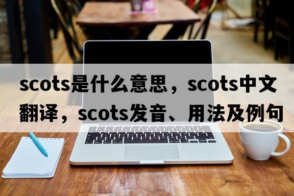 Scots是什么意思，Scots中文翻譯，Scots發(fā)音、用法及例句