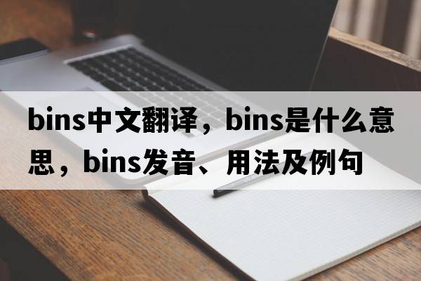bins中文翻譯，bins是什么意思，bins發(fā)音、用法及例句