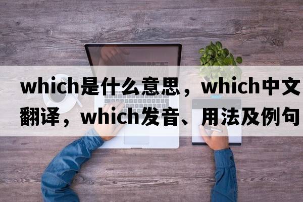 which是什么意思，which中文翻譯，which發(fā)音、用法及例句