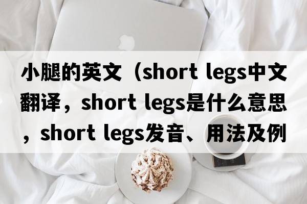 小腿的英文（short legs中文翻譯，short legs是什么意思，short legs發(fā)音、用法及例句）