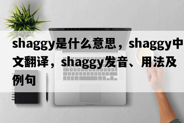 shaggy是什么意思，shaggy中文翻譯，shaggy發(fā)音、用法及例句