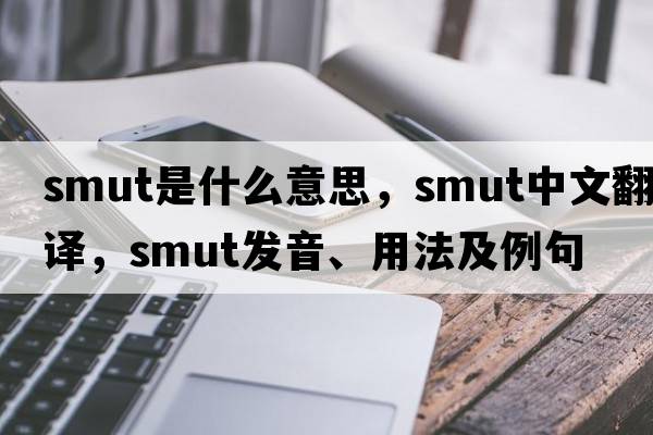 smut是什么意思，smut中文翻譯，smut發(fā)音、用法及例句