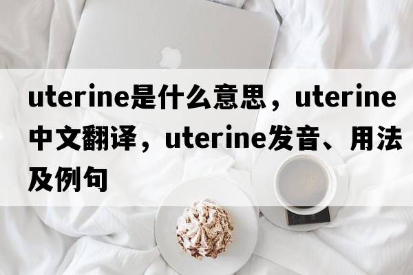 uterine是什么意思，uterine中文翻譯，uterine發(fā)音、用法及例句