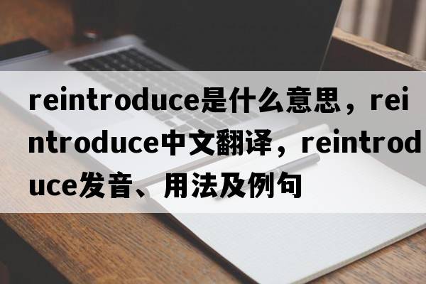 reintroduce是什么意思，reintroduce中文翻譯，reintroduce發(fā)音、用法及例句