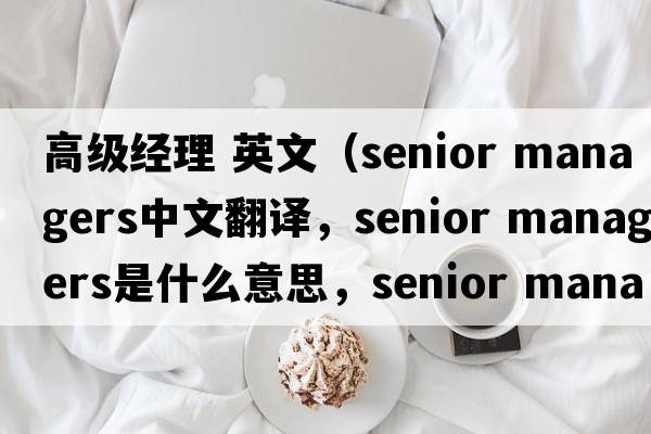 高級(jí)經(jīng)理 英文（senior managers中文翻譯，senior managers是什么意思，senior managers發(fā)音、用法及例句）