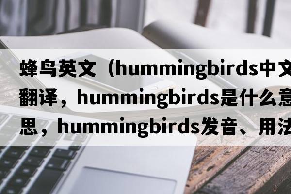 蜂鳥英文（hummingbirds中文翻譯，hummingbirds是什么意思，hummingbirds發(fā)音、用法及例句）