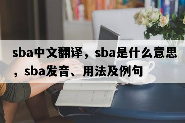 sba中文翻譯，sba是什么意思，sba發(fā)音、用法及例句
