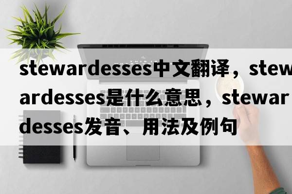 stewardesses中文翻譯，stewardesses是什么意思，stewardesses發(fā)音、用法及例句