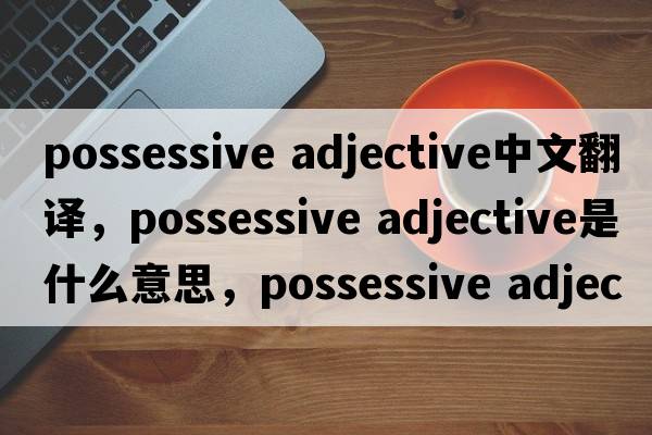 possessive adjective中文翻譯，possessive adjective是什么意思，possessive adjective發(fā)音、用法及例句