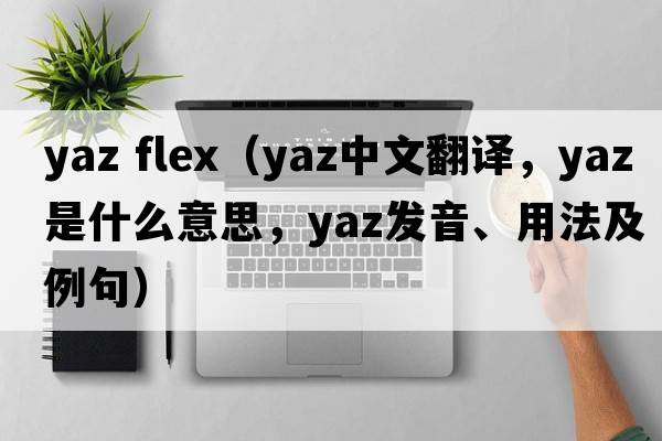yaz flex（YAZ中文翻譯，YAZ是什么意思，YAZ發(fā)音、用法及例句）
