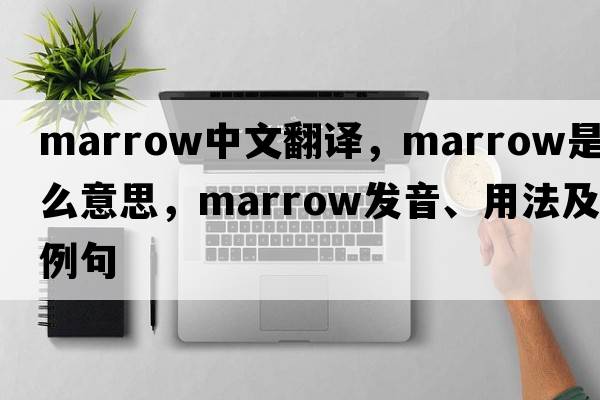 marrow中文翻譯，marrow是什么意思，marrow發(fā)音、用法及例句