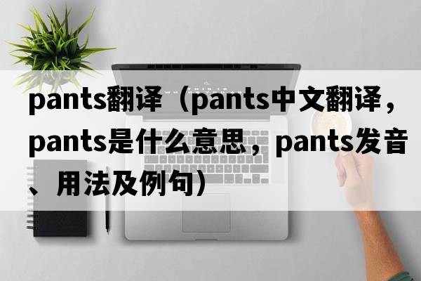 pants翻譯（pants中文翻譯，pants是什么意思，pants發(fā)音、用法及例句）