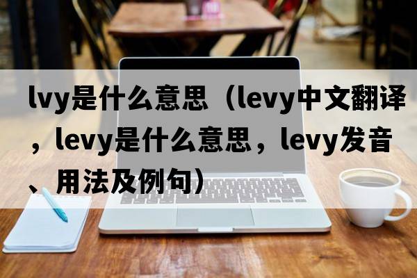 lvy是什么意思（levy中文翻譯，levy是什么意思，levy發(fā)音、用法及例句）