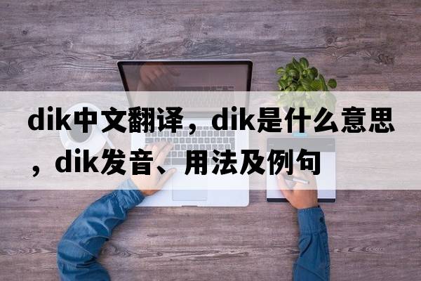 dik中文翻譯，dik是什么意思，dik發(fā)音、用法及例句