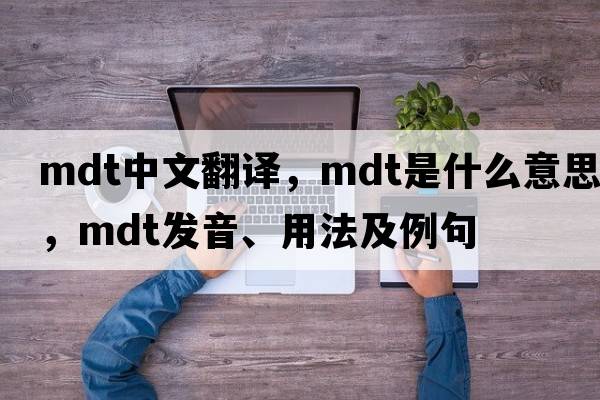 mdt中文翻譯，mdt是什么意思，mdt發(fā)音、用法及例句