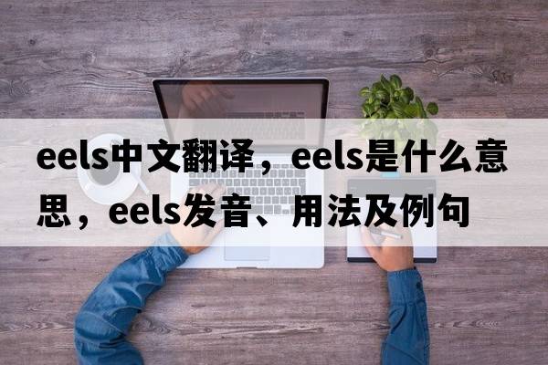 eels中文翻譯，eels是什么意思，eels發(fā)音、用法及例句