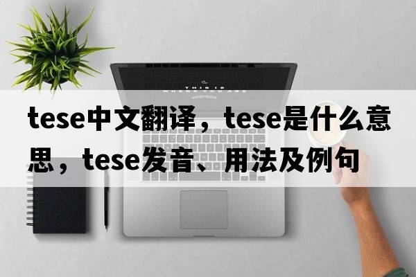 TESE中文翻譯，TESE是什么意思，TESE發(fā)音、用法及例句