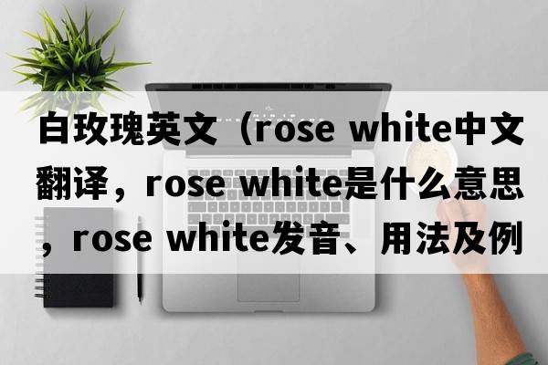 白玫瑰英文（rose white中文翻譯，rose white是什么意思，rose white發(fā)音、用法及例句）