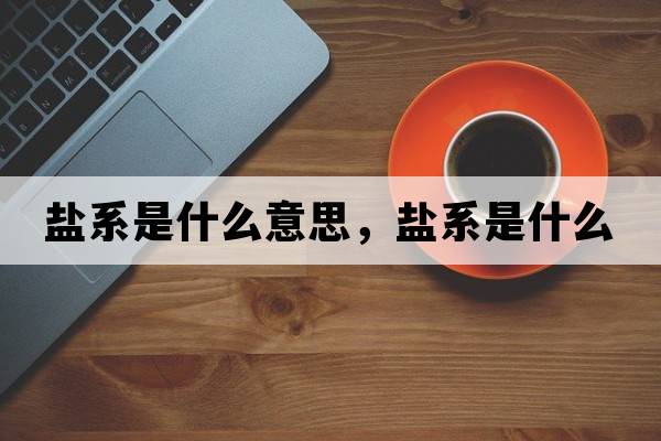鹽系是什么意思，鹽系是什么