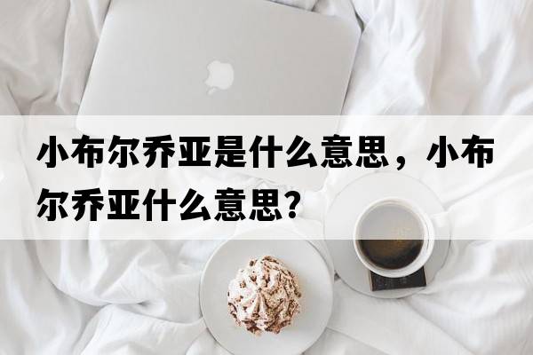 小布爾喬亞是什么意思，小布爾喬亞什么意思？