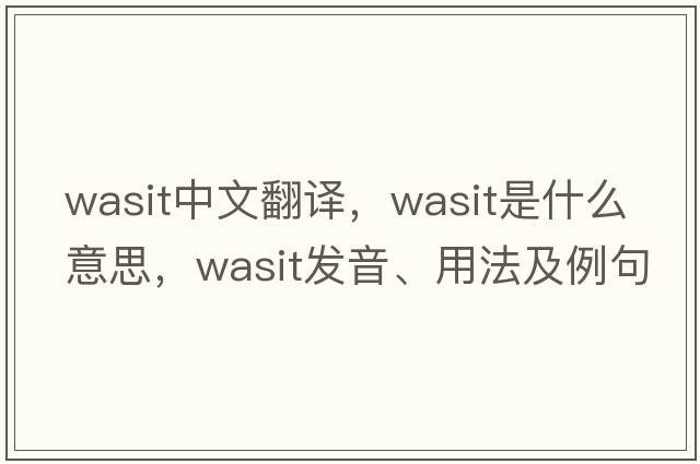 Wasit中文翻譯，Wasit是什么意思，Wasit發(fā)音、用法及例句