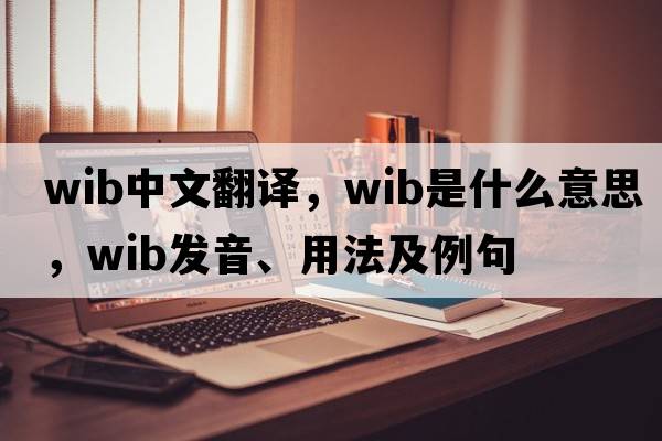 Wib中文翻譯，Wib是什么意思，Wib發(fā)音、用法及例句