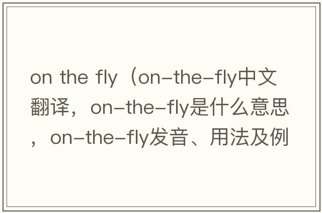 on the fly（on-the-fly中文翻譯，on-the-fly是什么意思，on-the-fly發(fā)音、用法及例句）