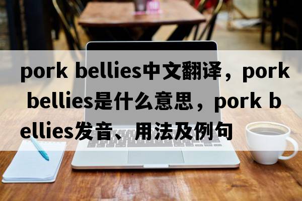 pork bellies中文翻譯，pork bellies是什么意思，pork bellies發(fā)音、用法及例句