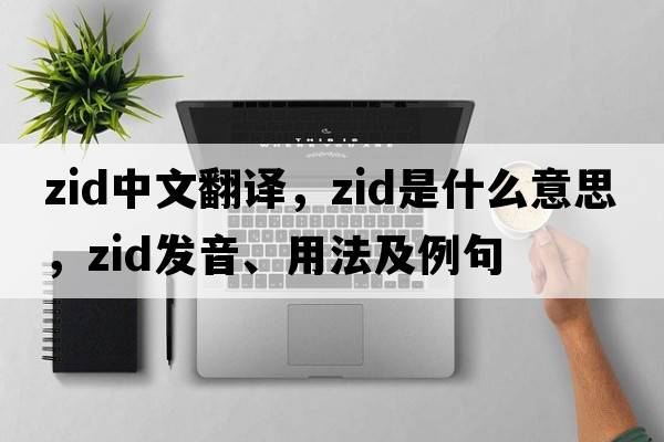 ZID中文翻譯，ZID是什么意思，ZID發(fā)音、用法及例句