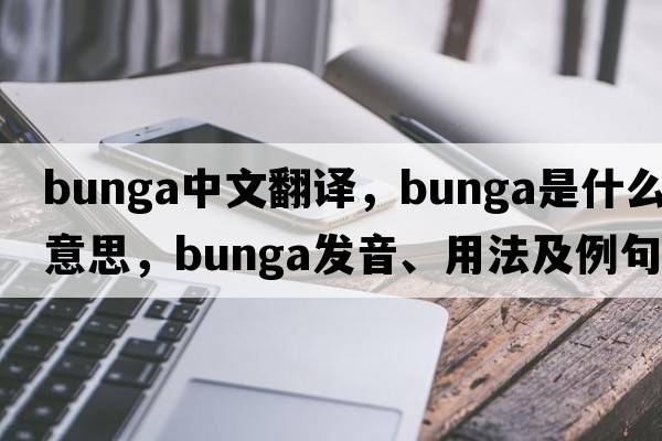 Bunga中文翻譯，Bunga是什么意思，Bunga發(fā)音、用法及例句