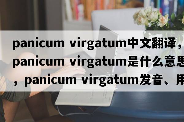 panicum virgatum中文翻譯，panicum virgatum是什么意思，panicum virgatum發(fā)音、用法及例句