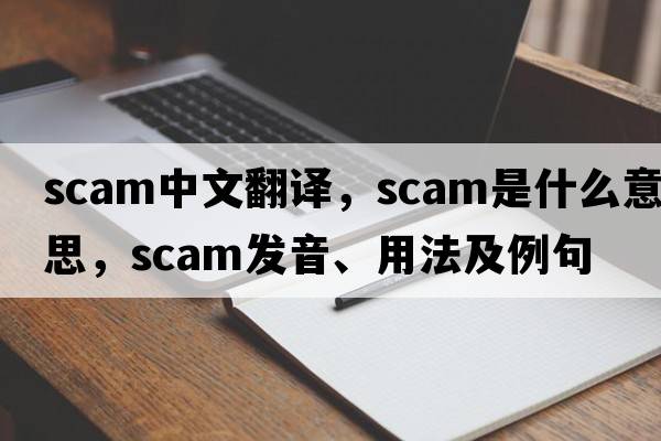 scam中文翻譯，scam是什么意思，scam發(fā)音、用法及例句