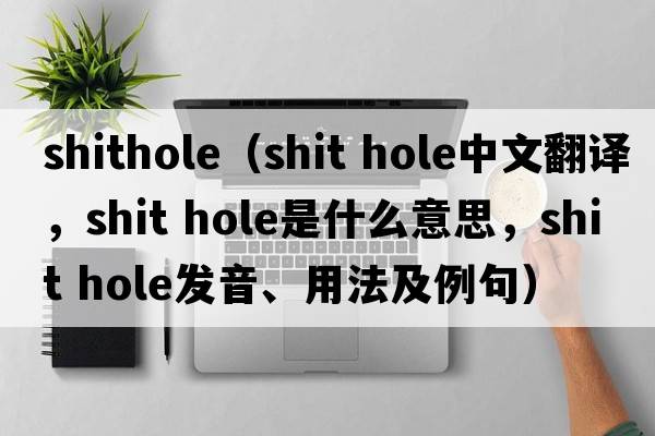 shithole（shit hole中文翻譯，shit hole是什么意思，shit hole發(fā)音、用法及例句）