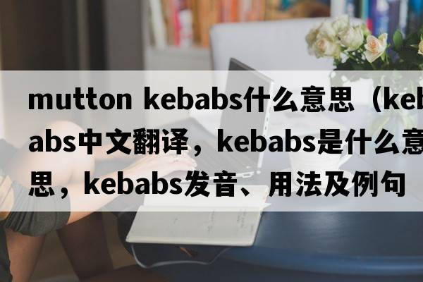 mutton kebabs什么意思（kebabs中文翻譯，kebabs是什么意思，kebabs發(fā)音、用法及例句）