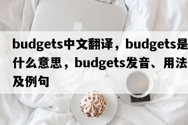 budgets中文翻譯，budgets是什么意思，budgets發(fā)音、用法及例句