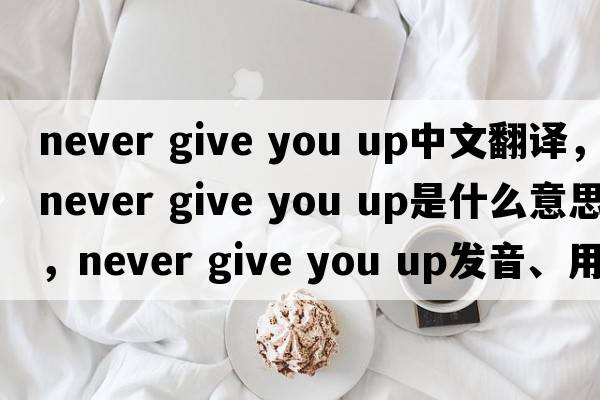 never give you up中文翻譯，never give you up是什么意思，never give you up發(fā)音、用法及例句
