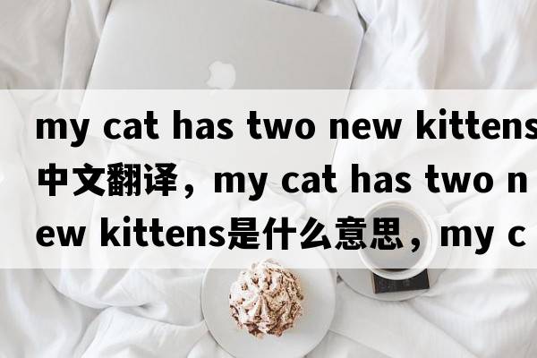 my cat has two new kittens中文翻譯，my cat has two new kittens是什么意思，my cat has two new kittens發(fā)音、用法及例句