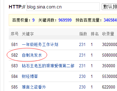用戶體驗 黑帽手法 潛在流量 SEO